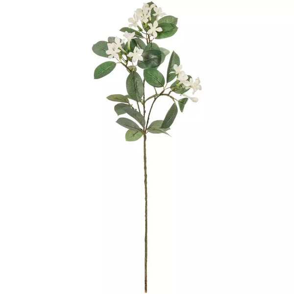 White Stephanotis Spray