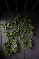 Norfolk & Cypress Mix Wreath Mini