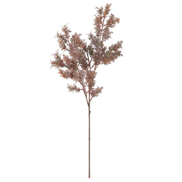 Burgundy w/Green Cypress Branch