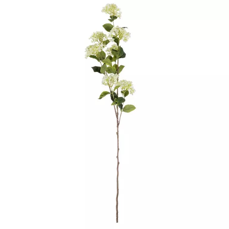 White Hydrangea Stem