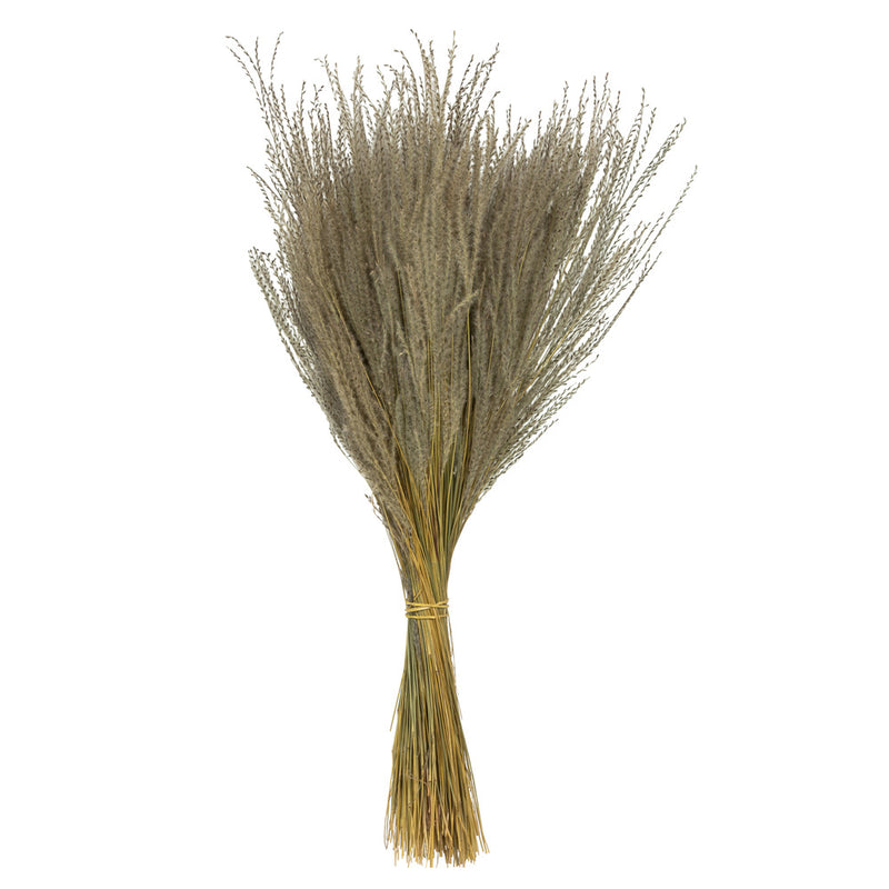 Dried Grass Bundle