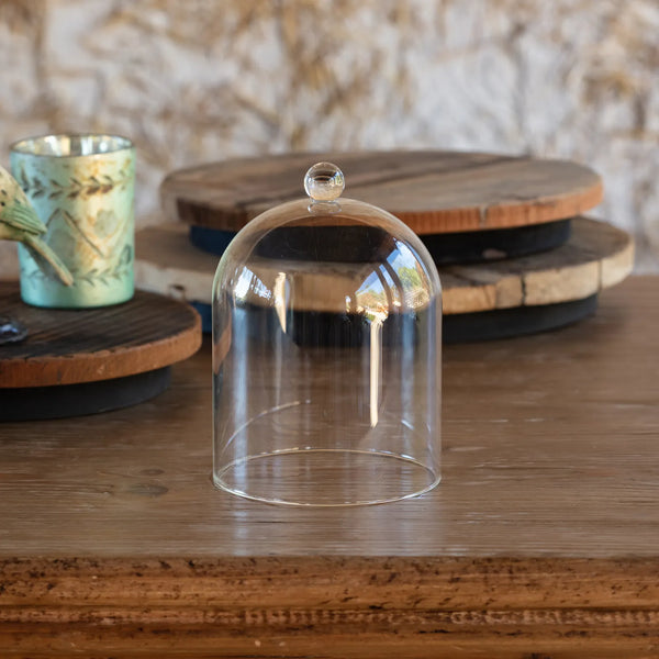 Small Glass Dome