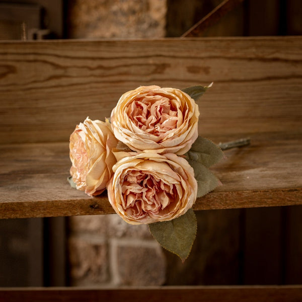 English Rose Stem / Blush