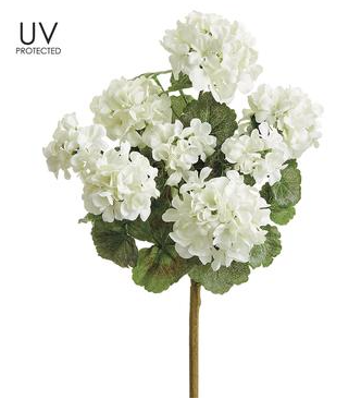18" UV Protected Geranium Bush