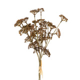 Meadow Grass Bouquet, Brown