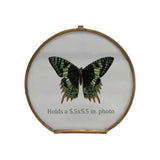 Brass & Glass Photo Frame