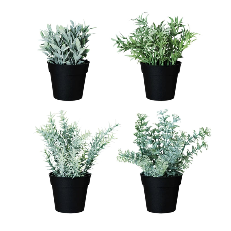 Faux Herb