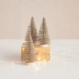 Bottle Brush Trees / Set of 3