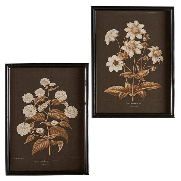 Framed Painting- Flower Set/2