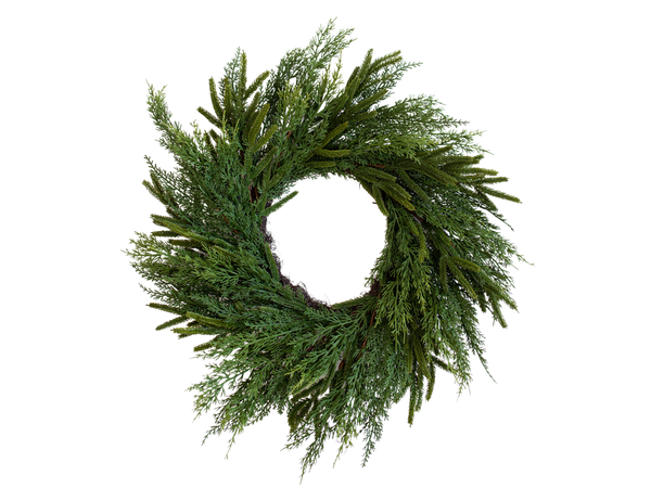 24" Norfolk Cypress Mix Wreath