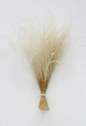 White Feather Grass