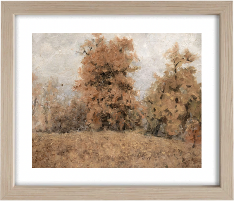 Forest in Fall