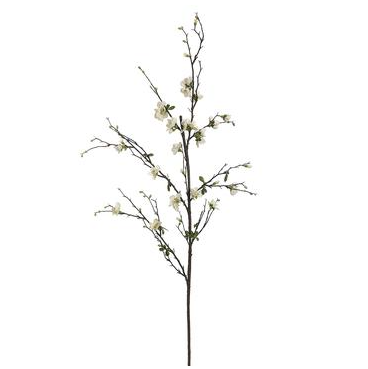 57" Quince Blossom Branch